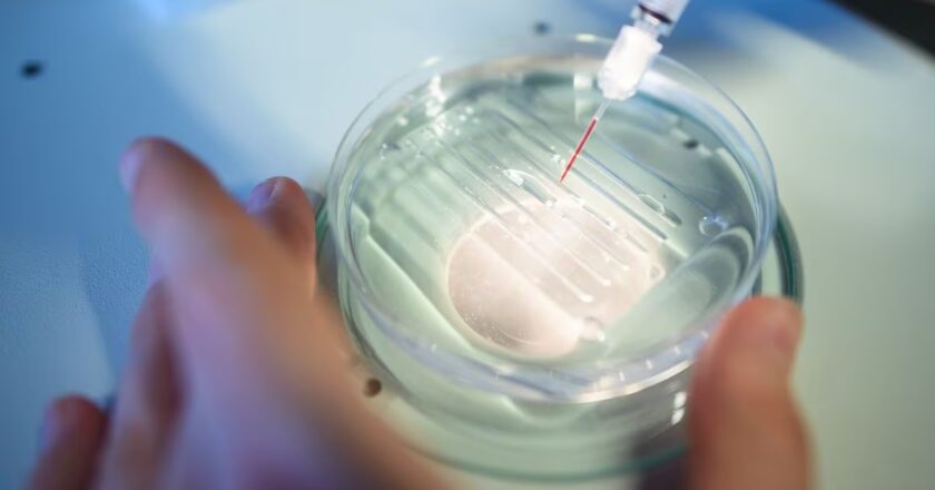 La agencia del medicamento de EE UU abre la puerta al primer tratamiento con edición genética CRISPR