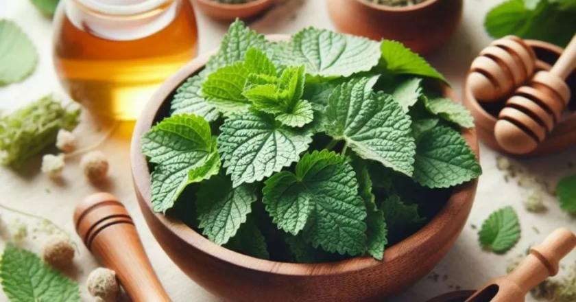 La planta medicinal que elimina parásitos y aumenta el flujo sanguíneo | Así se hace el verdadero té