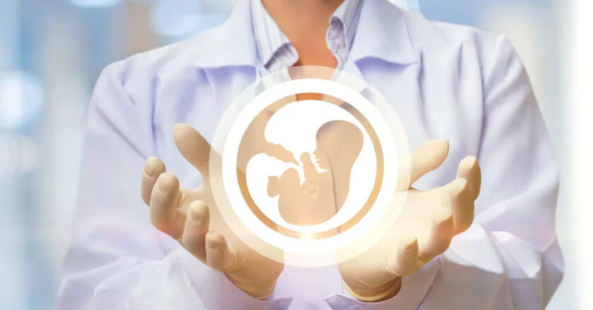 Congelamiento de óvulos: en qué casos y a qué edad recomiendan realizar la consulta médica