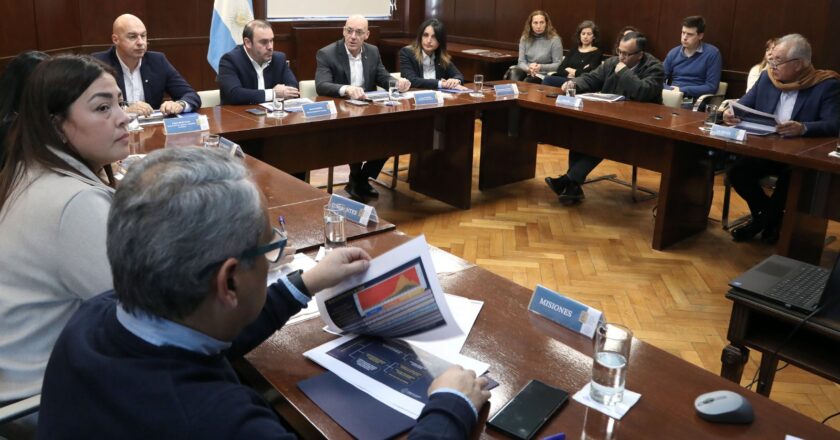 Avanza la implementación del Plan Estratégico para el Abordaje Integral del Dengue 2024-2025