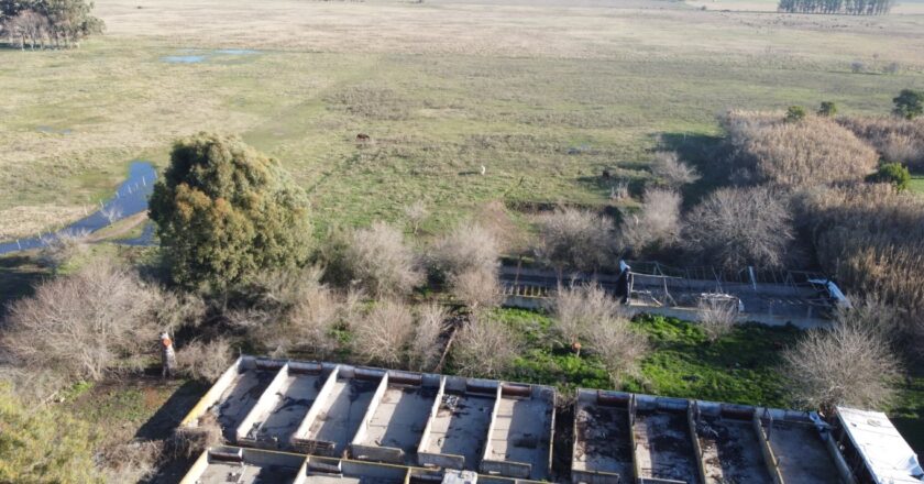 ?Venta de 4 Hectáreas con Chanchería en Magdalena oportunidad