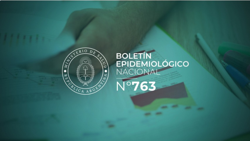 Actualización del Boletín Epidemiológico Nacional de la SE N° 26